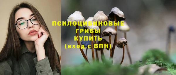 соль ск Абинск