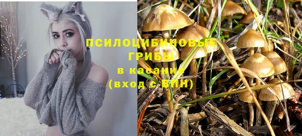 прущие грибы Алексеевка
