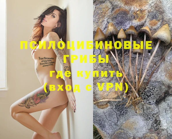 сатива Абдулино