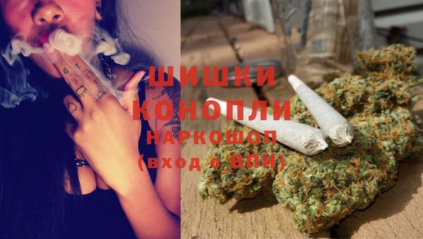 гидропоника Абаза
