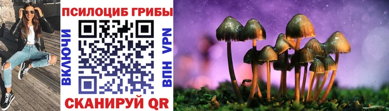 купить наркоту  Шумерля  гидра ссылки  Галлюциногенные грибы ЛСД 