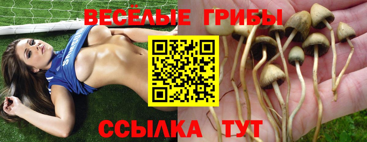 Псилоцибиновые грибы Magic Shrooms Шумерля